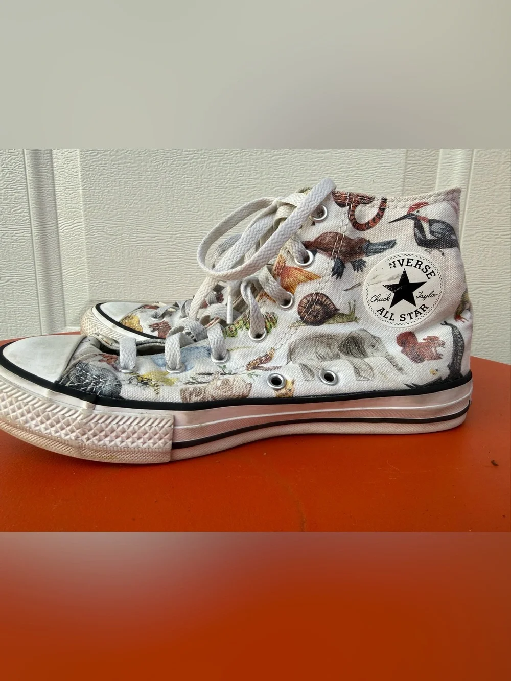 Converse Junior Chuck Taylor All Star Hi sneakers Science Class / Zoo Animals 5